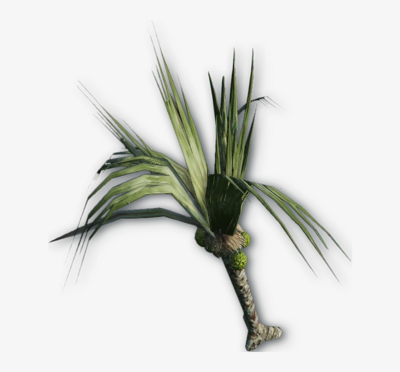 Green Plants - Amber Leaf Far Cry 3, transparent png download
