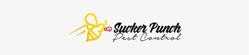 Sucker Punch-01 - Calligraphy, transparent png download