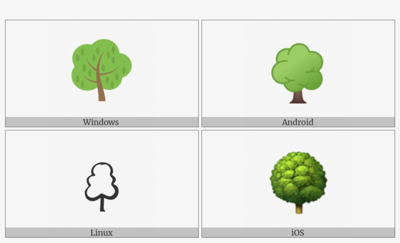 Deciduous Tree On Various Operating Systems - Broccoli, transparent png download