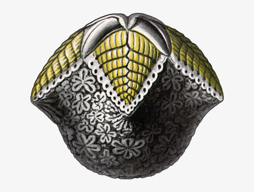 Headpiece, transparent png download