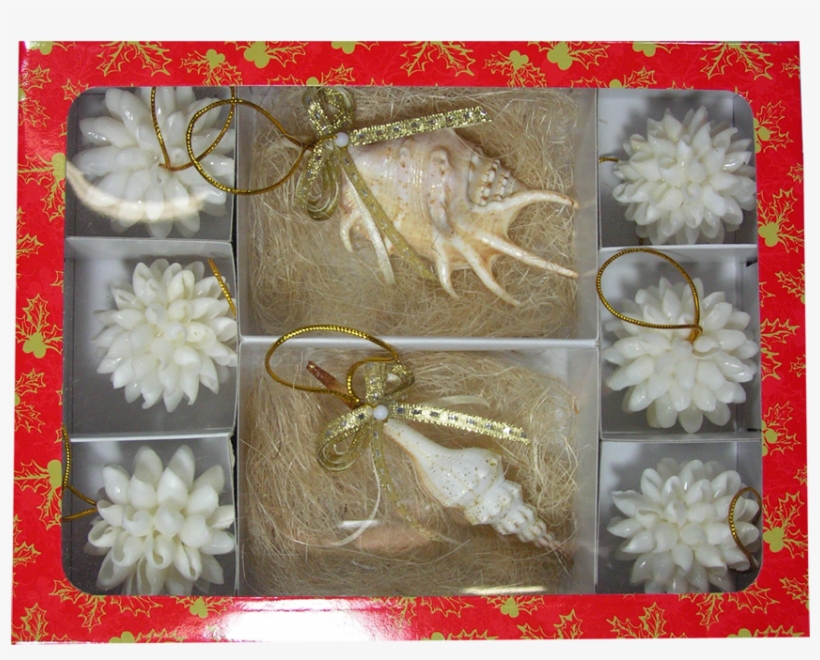 6 Snowballs 2" And 2 Christmas Ornaments In Gift Box - Floral Design, transparent png download