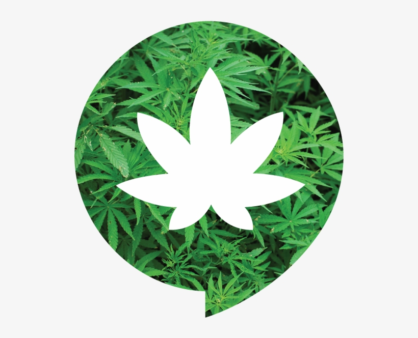 More Graphics For Smokers Quick Guide On Becoming A - Smoke Io, transparent png download