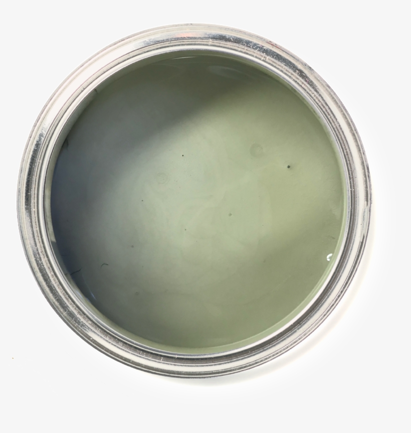 Spanish Moss - Paint, transparent png download