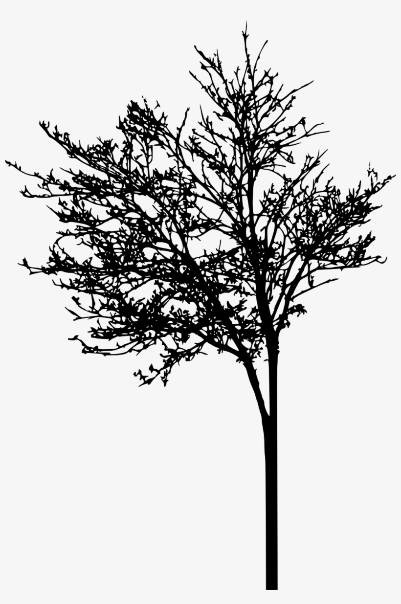 Tree Sticker - Silhouette, transparent png download