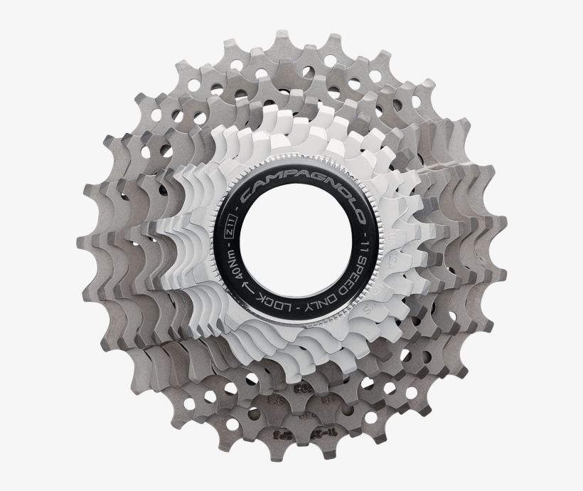 Para Tu Bicicleta - Campagnolo, transparent png download
