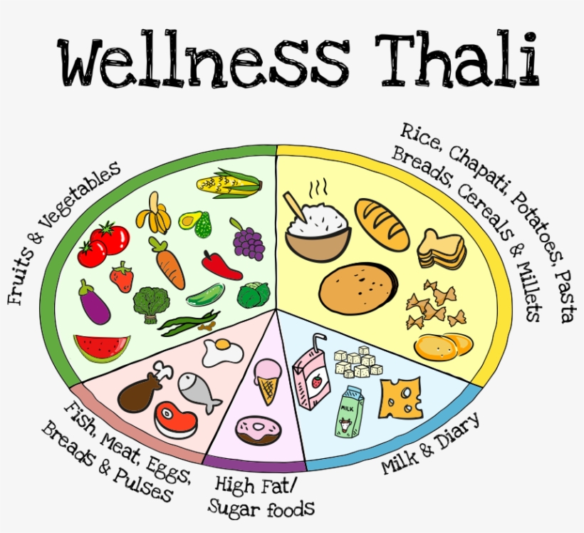 Png Free Stock Green Box Direct Wellness Thali Fruits - Food Groups And Proportions, transparent png download