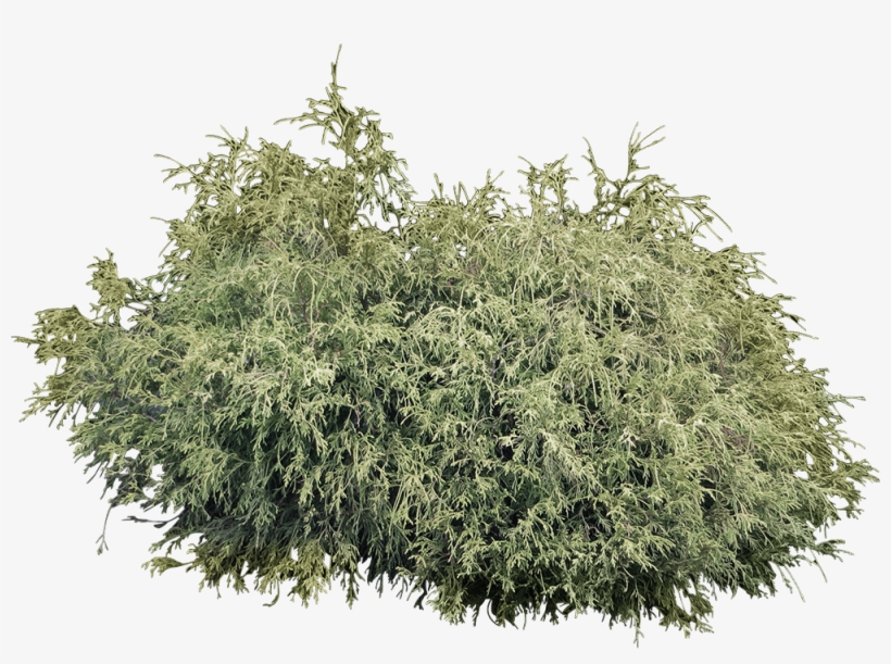 Previewview - Clipart Trees And Bush, transparent png download