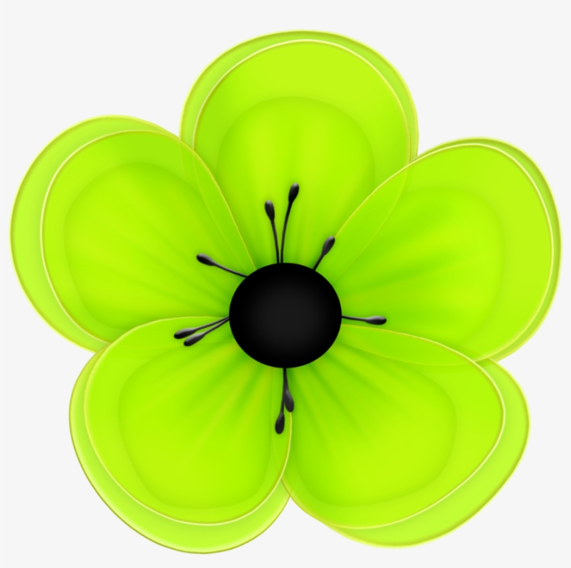 Photo Flower-3 Zpsb7b72d73 - Flower, transparent png download