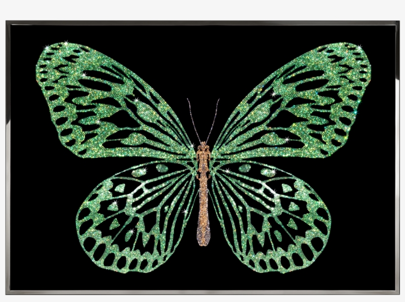 Visionnaire Home Philosophy - Art, transparent png download