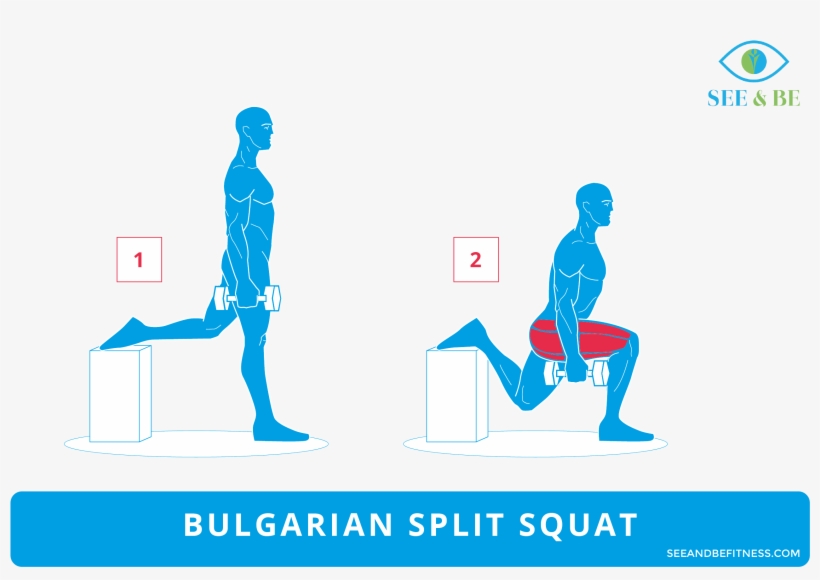 Bulgarian Split-squat, See & Be Fitness Static Cling - Pike Push Ups Muscles, transparent png download