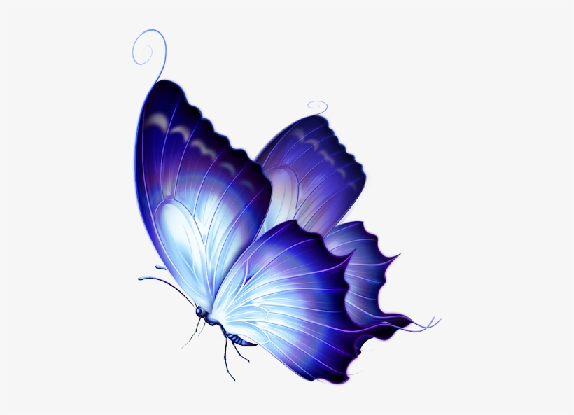 Фото, Автор Svetlera На Яндекс - Purple And Gold Butterfly, transparent png download