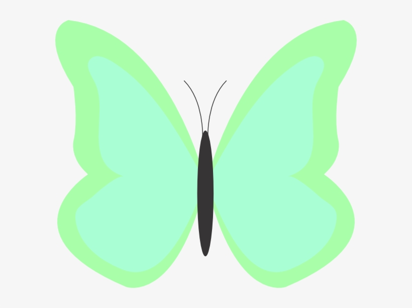 Butterfly Png, transparent png download