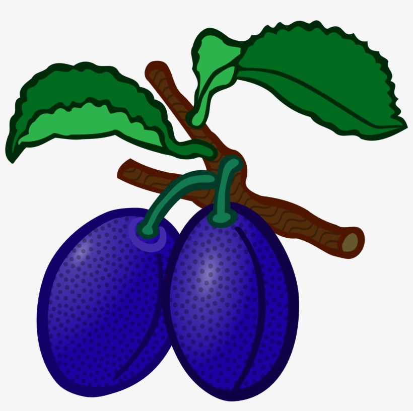 Plum Transparent Image - Plums Clipart, transparent png download