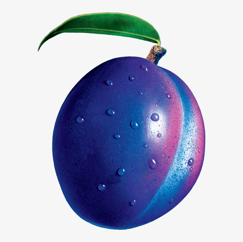 This Week I Sat Down With Ed Des Roches To Ask Him - Bilberry, transparent png download