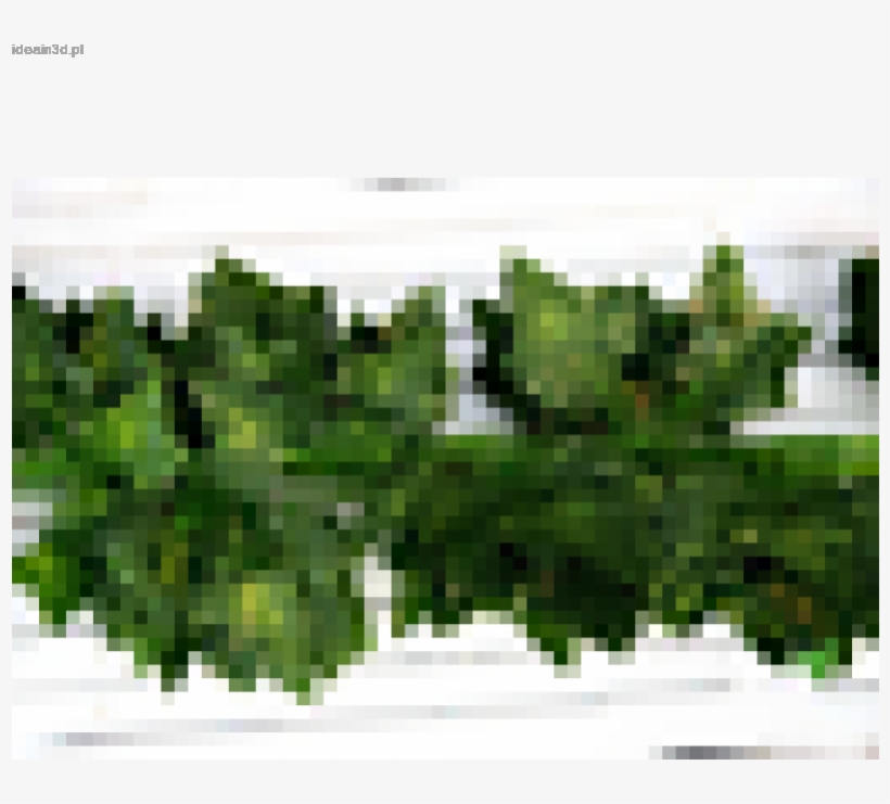 Oferta Specjalna 12 Big Value Artificial Hanging Plant - Grass, transparent png download