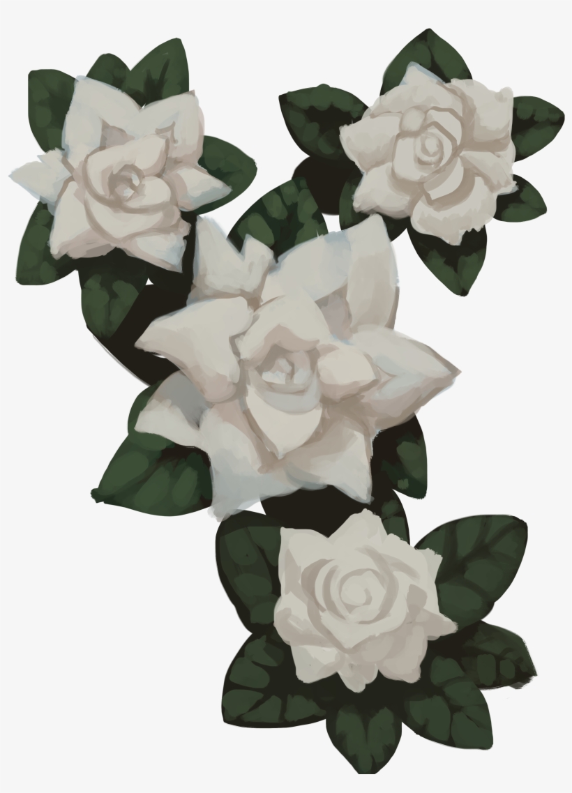 Gardenia - Gardenia Transparent, transparent png download