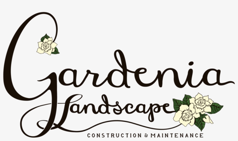 Gardenia Png, transparent png download
