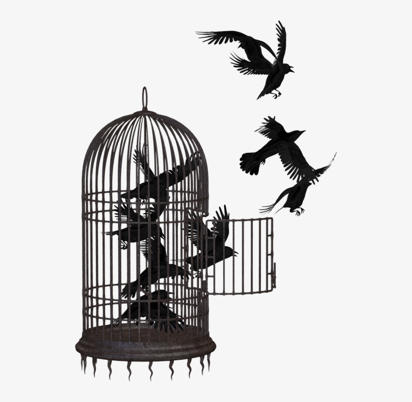 “los Solidarios De La Voz Del Amate” Demand The Return - Libertad Con Responsabilidad, transparent png download