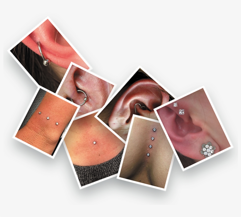 Here A Sample Of Some Of The Piercings We Have Done - Earrings, transparent png download