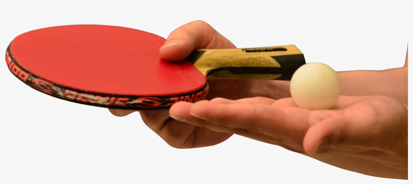 Hands Holding Table Tennis Of Racket And Ball Png Image, transparent png download