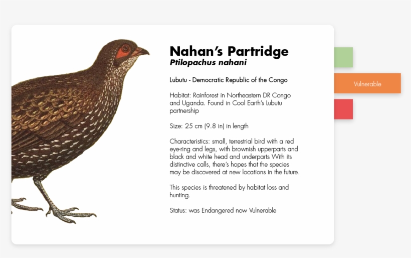 From Pollinating Our Crops To Keeping A Varied Food - Chicken, transparent png download