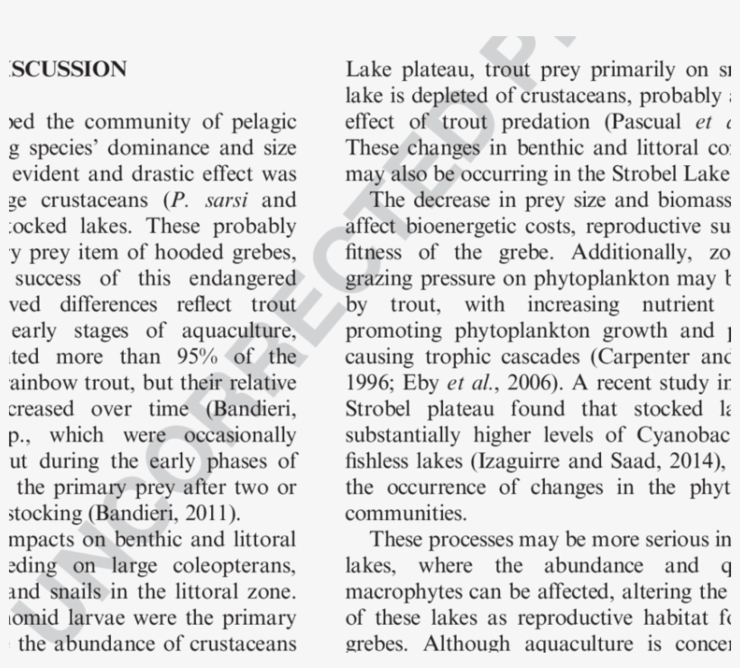 Body Length Of Boeckella Spp - Letters To Parents From Teachers, transparent png download
