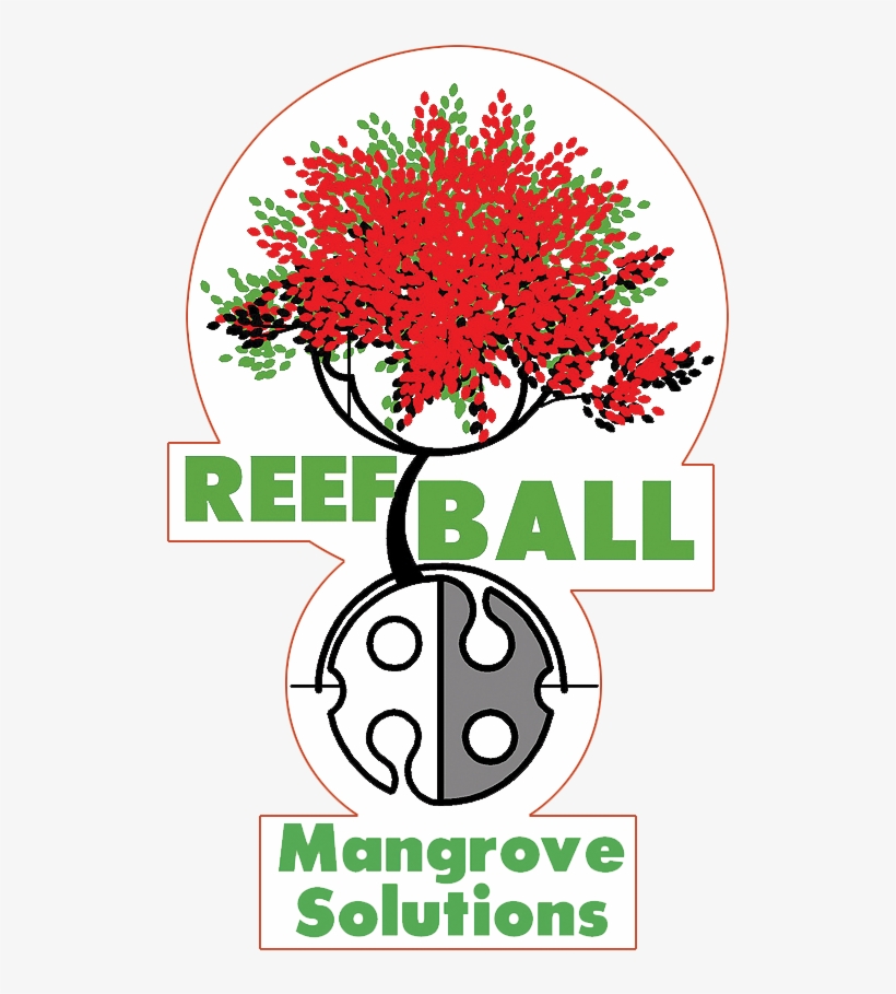 Reef Ball Applications Mangroves - Floral Design, transparent png download