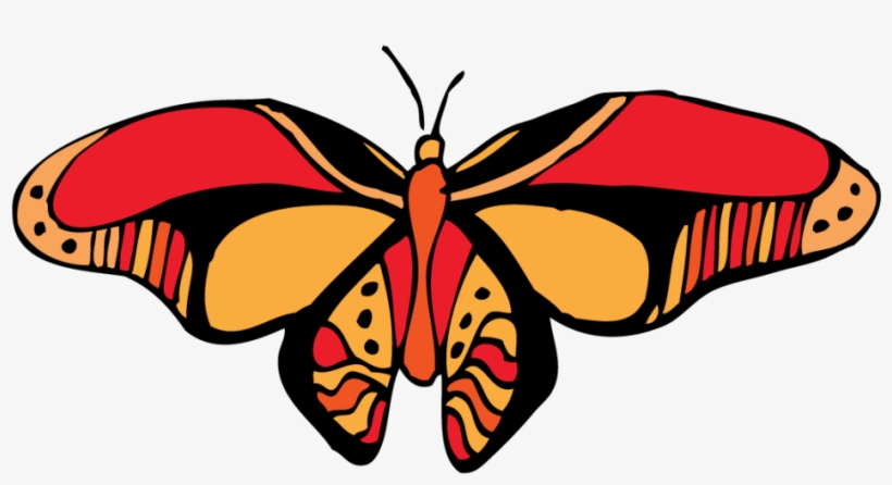 O' Butterfly - Cynthia (subgenus), transparent png download