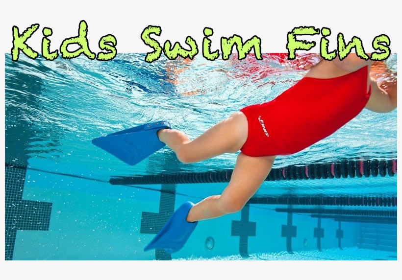 800 X 492 1 - Kids Flippers, transparent png download
