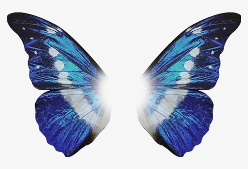 Free To Edit - 光明 女神 蝶, transparent png download
