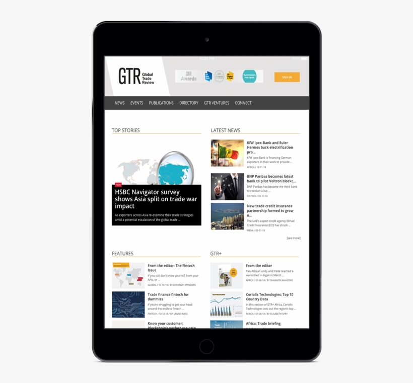 Gtr Ipad Mini Mockup - Gadget, transparent png download