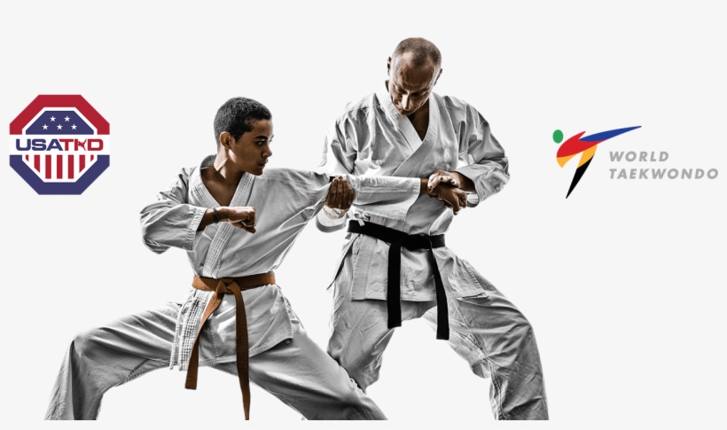 Grand Rapids Tae Kwon Do Classes, Martial Arts Instruction - Teaching Martial Arts, transparent png download