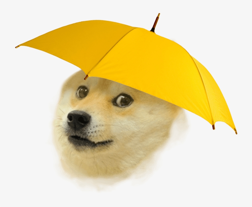Rain Doge, transparent png download