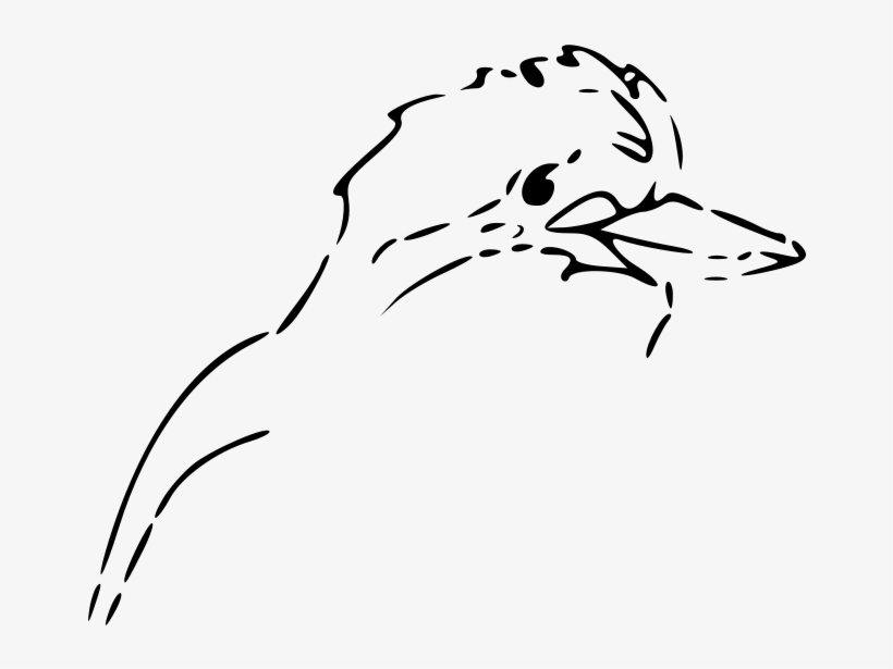 Kookaburra Head Outline, transparent png download