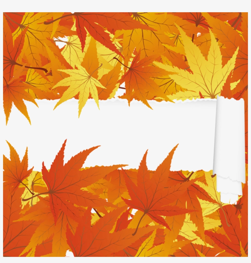 Fall Leaf Border Png, transparent png download