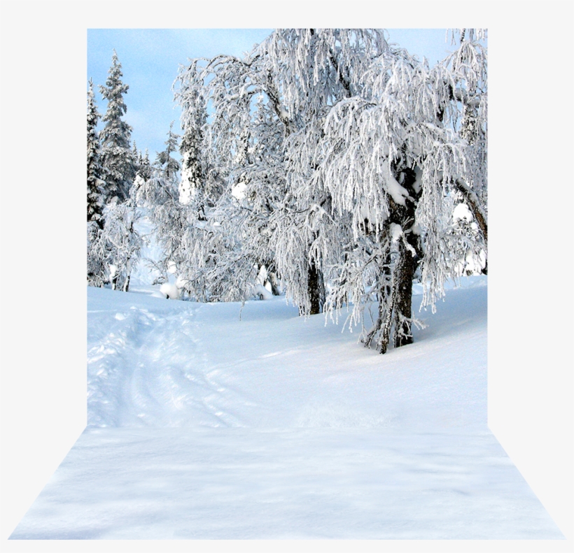 3 Dimensional View Of 10'x20' Backdrop - Snow, transparent png download