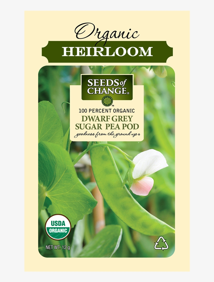 Organic Dwarf Grey Pea Seeds - Seed, transparent png download