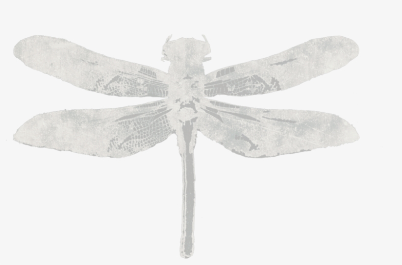 About, transparent png download