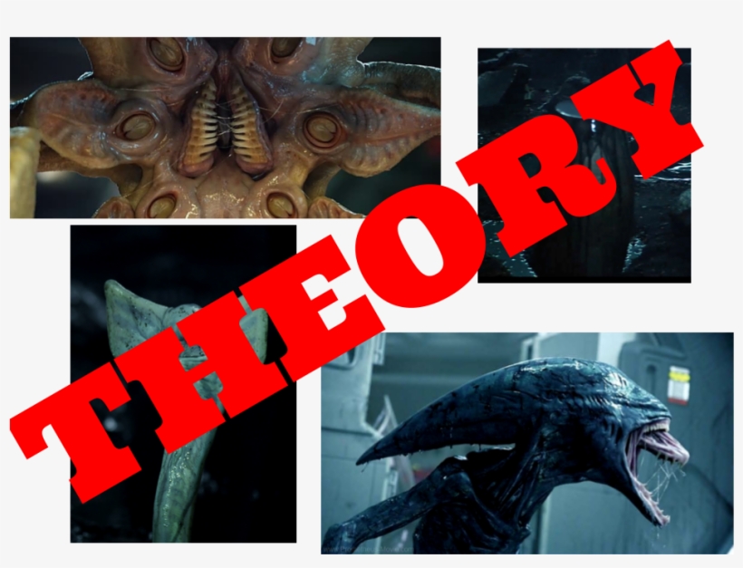 Here's My Protomorph Theory - Xenomorfo Alien, transparent png download