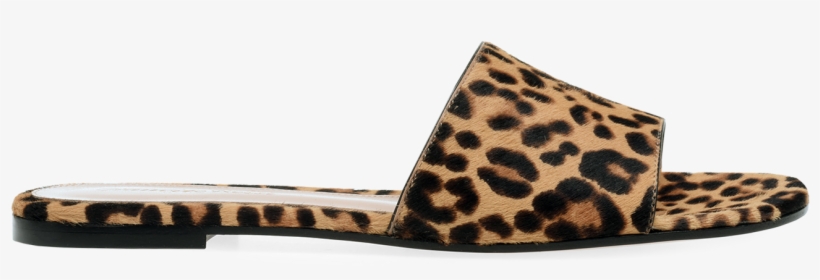 Sandal, transparent png download