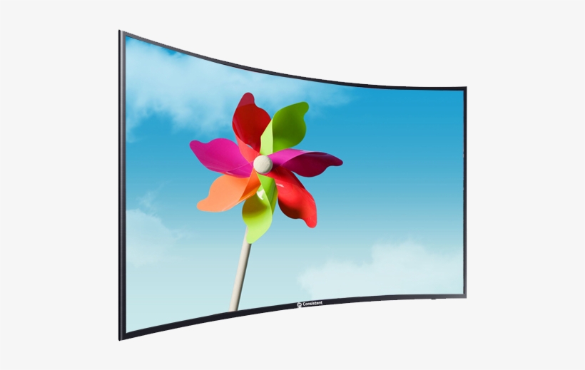 Consistent Led Tv 5004 - Cattleya, transparent png download