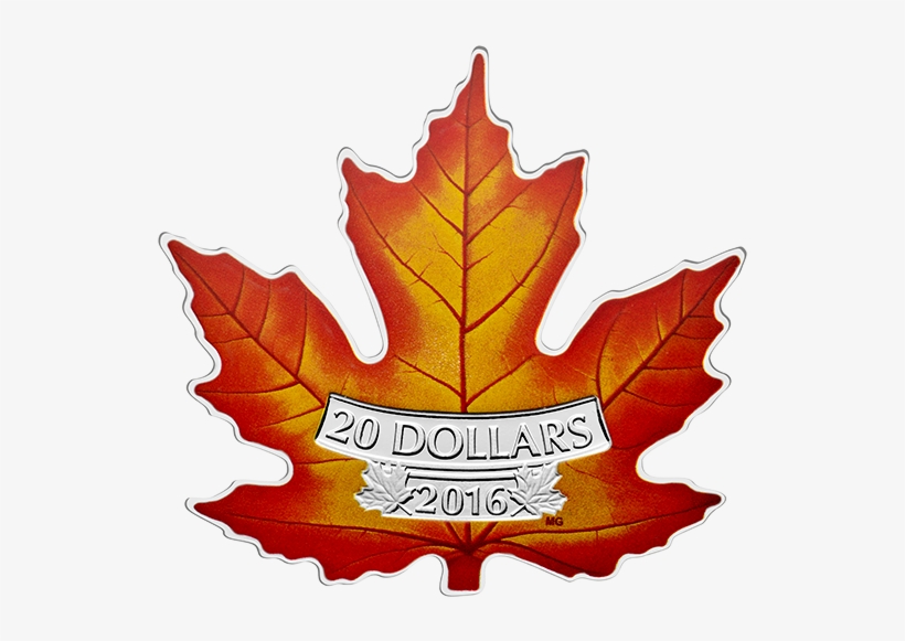 Pure Silver Coloured Coin The Canadian Maple Leaf Pp - Canada $20 Colorized Coin, transparent png download