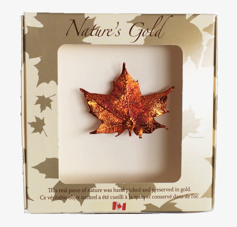 Maple Leaf Brooch - Real Maple Leaf Brooch, transparent png download