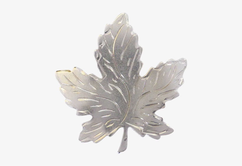 Sterling Silver Canadian Maple Leaf Brooch- Signed - Maple Leaf, transparent png download