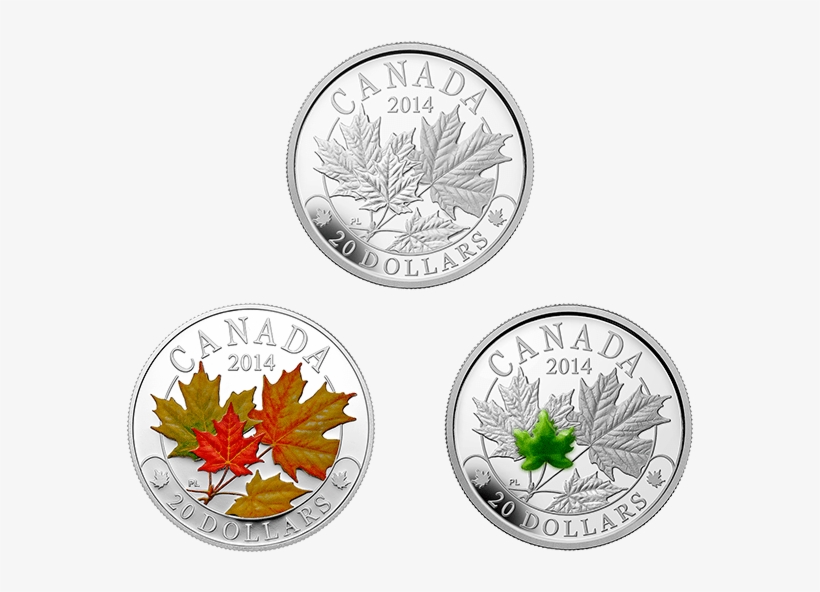 Fine Silver 3-coin Subscription Majestic Maple Leaves - Maple Leaf, transparent png download