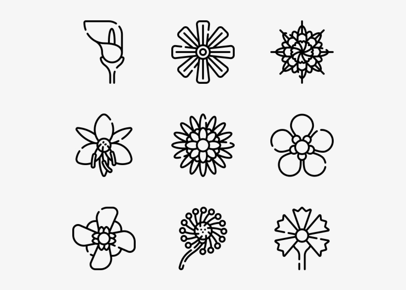 Flowers - Illustration, transparent png download