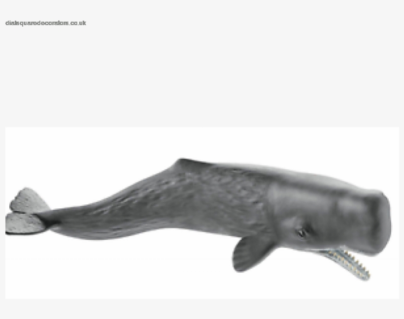 New Official New Schleich Sperm Whale Wild Nature Life - Pottwal Schleich, transparent png download