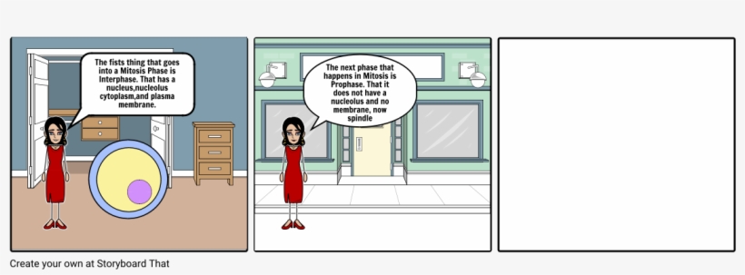 The Fists Thing That Goes Into A Mitosis Phase Is - Cartoon, transparent png download