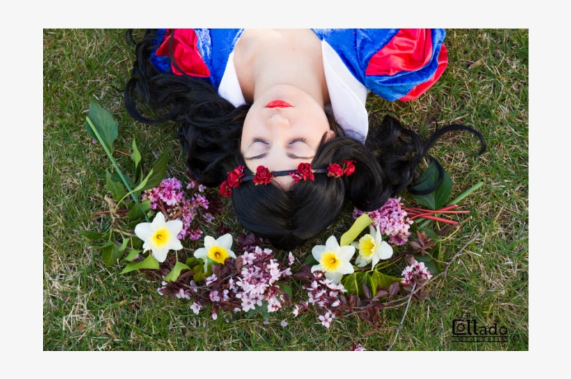 Si Quereis Ver El Videomontaje Que Hicimos Con Las, transparent png download