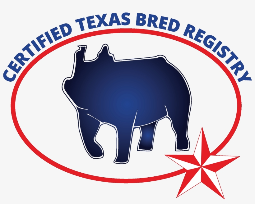 The Certified Texas Bred Registry Program Was Established - Black Rhinoceros, transparent png download